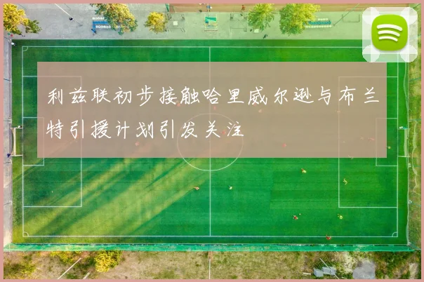 利兹联初步接触哈里威尔逊与布兰特引援计划引发关注