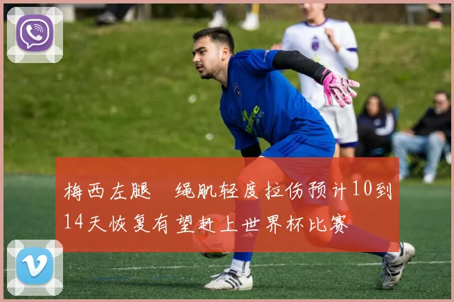 梅西左腿腘绳肌轻度拉伤预计10到14天恢复有望赶上世界杯比赛