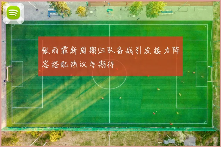 张雨霏新周期归队备战引发接力阵容搭配热议与期待